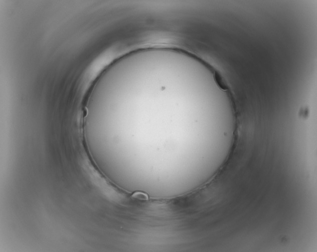 X0000113081472200909182037