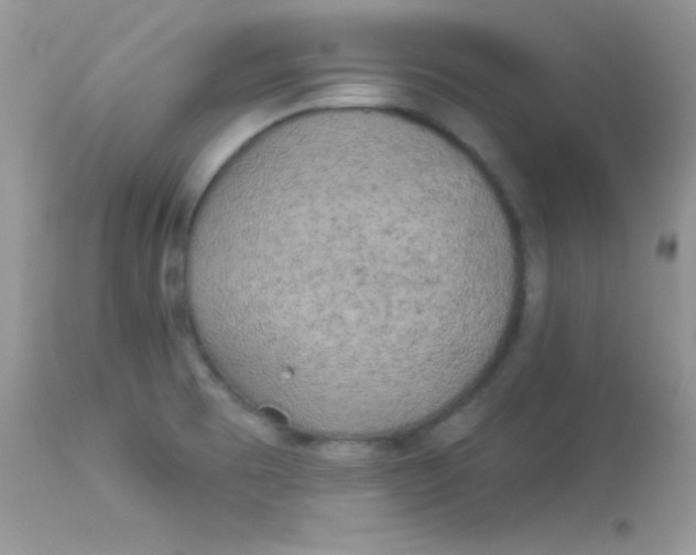 X0000113081473200909182037