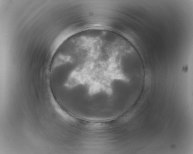 X0000113081474200909182037