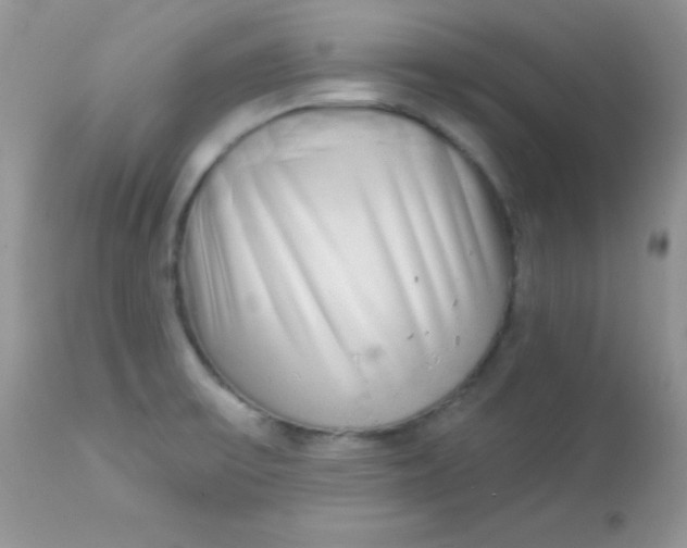 X0000113081475200909182037