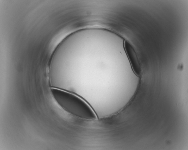 X0000113081476200909182037