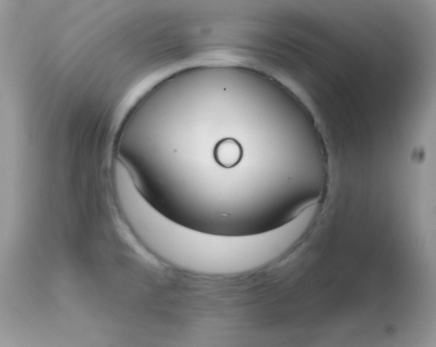 X0000113081477200909182037