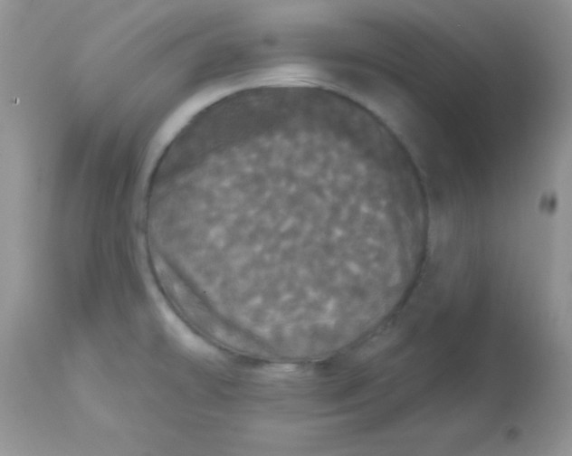 X0000113081478200909182037