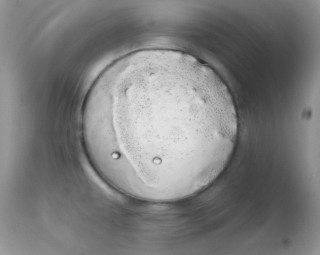 X0000113081479200909182037