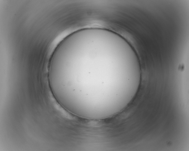 X0000113081480200909182037