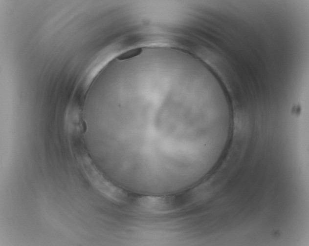 X0000113081481200909182037