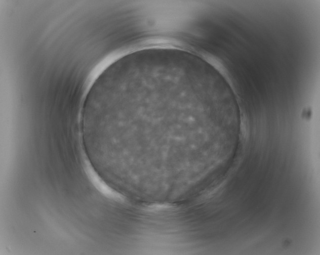 X0000113081482200909182037