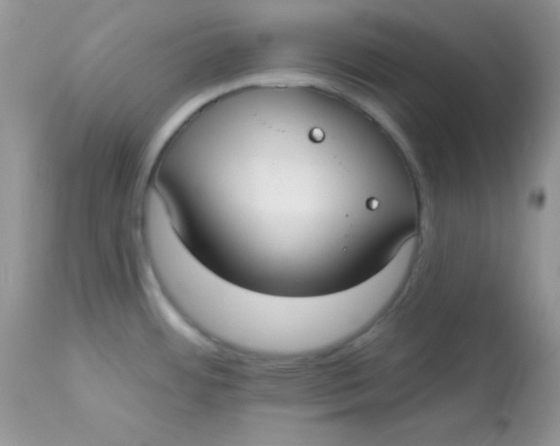 X0000113081484200909182037