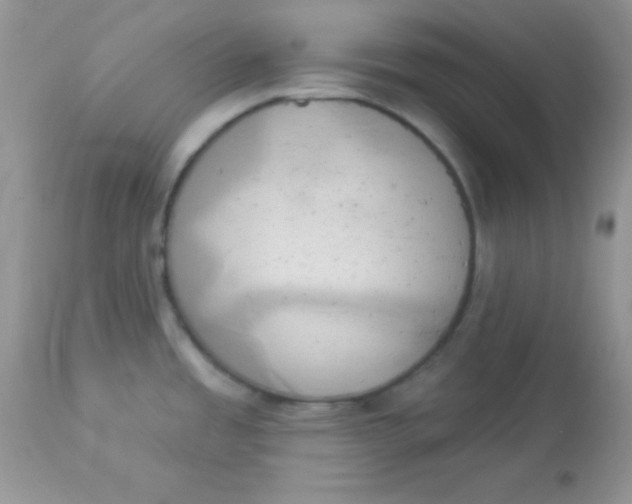 X0000113081485200909182037