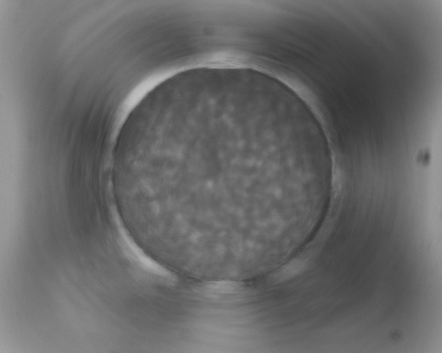 X0000113081486200909182037