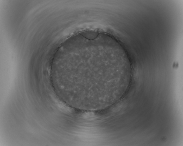 X0000113081489200909182036