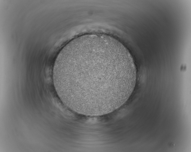 X0000113081490200909182036