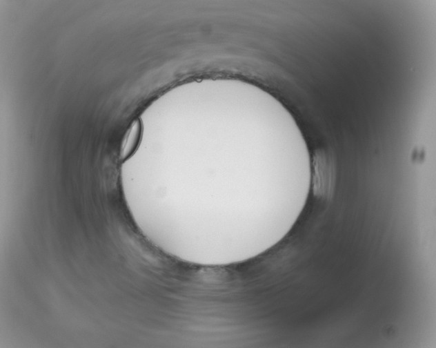 X0000113081491200909182036