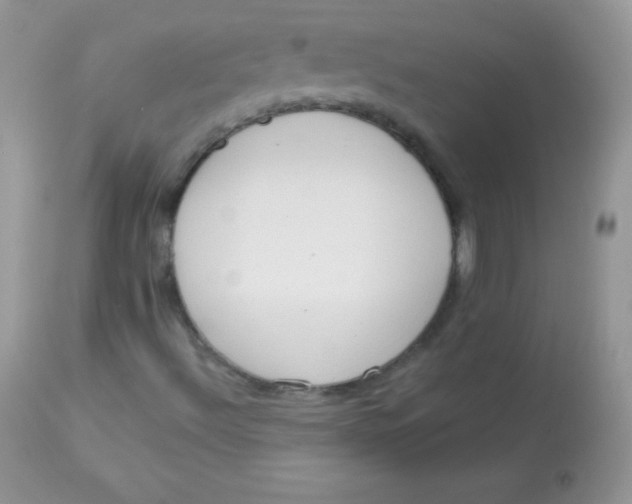 X0000113081492200909182036