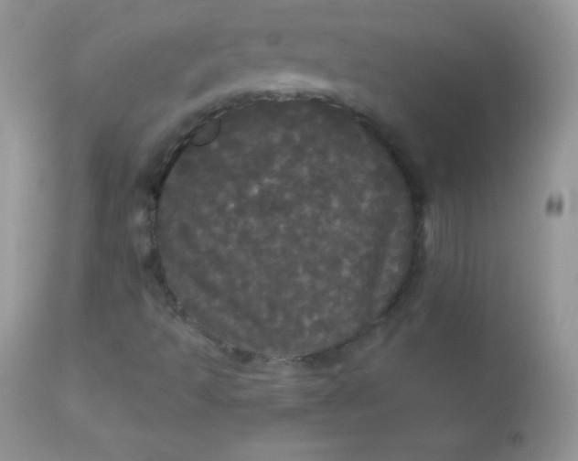 X0000113081493200909182036