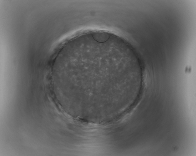 X0000113081494200909182036