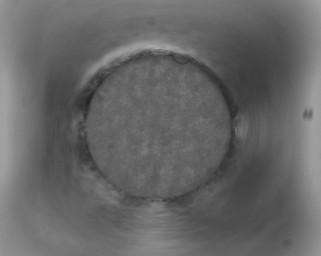 X0000113081495200909182036