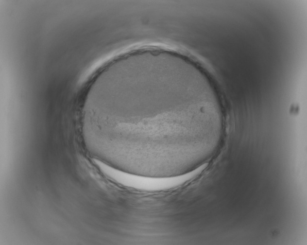 X0000113081496200909182036