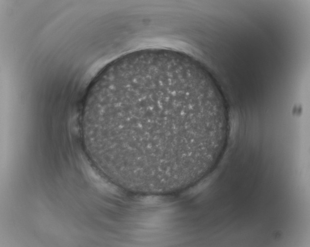 X0000113081497200909182036