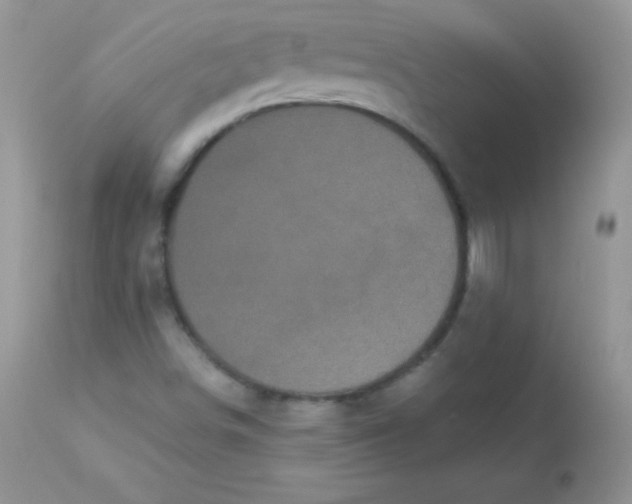 X0000113081498200909182036