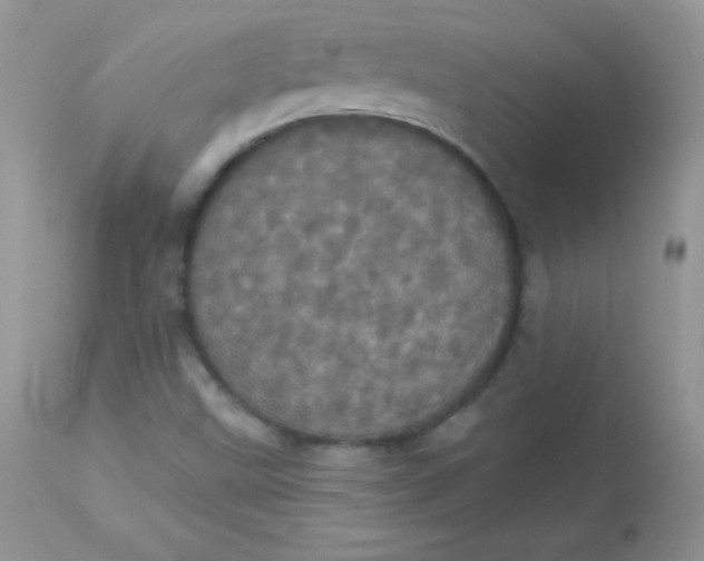 X0000113081499200909182036