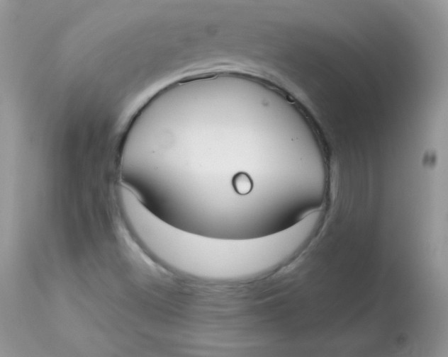 X0000113081500200909182036