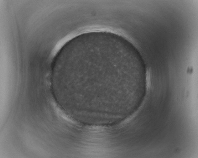 X0000113081501200909182036