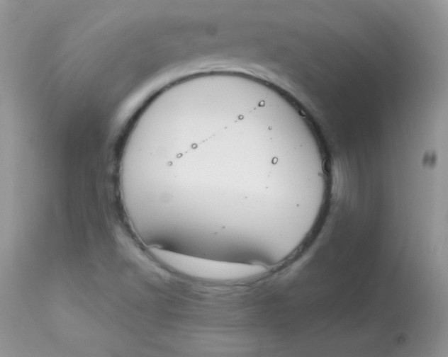 X0000113081502200909182036