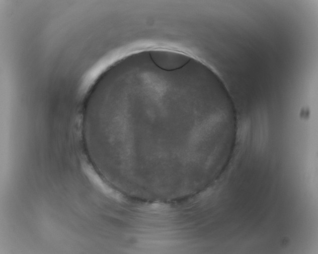 X0000113081503200909182036