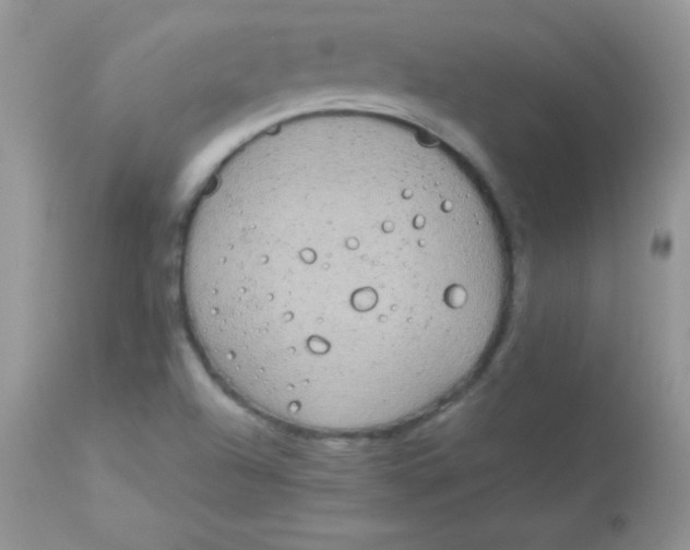 X0000113081504200909182036