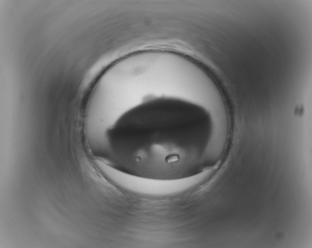 X0000113081506200909182036