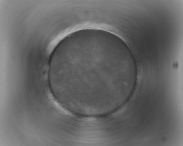 X0000113081507200909182036