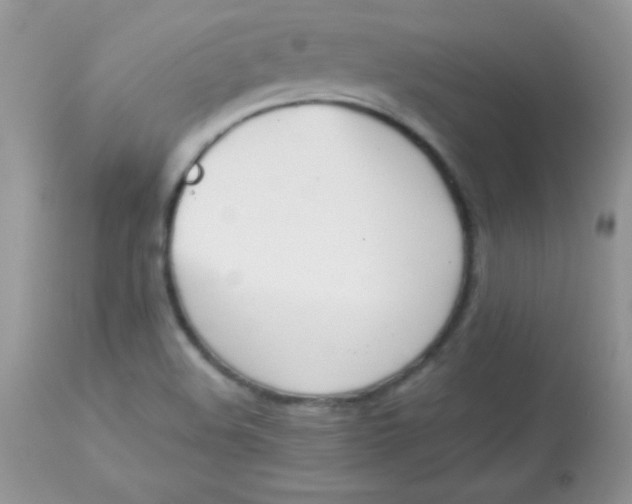 X0000113081508200909182036