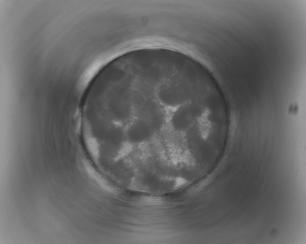 X0000113081509200909182036