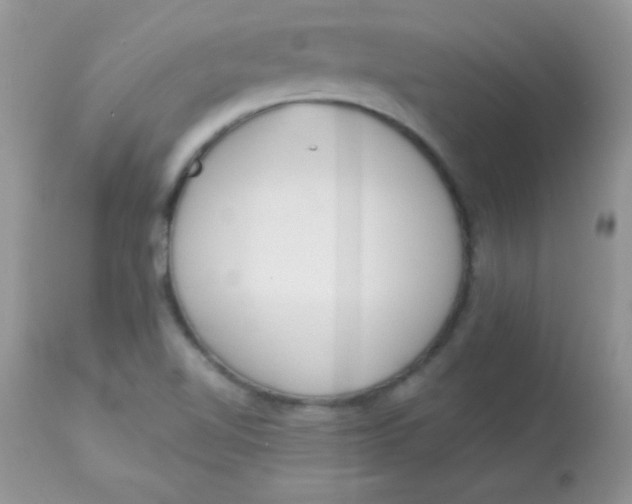 X0000113081510200909182036