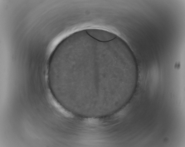 X0000113081511200909182037