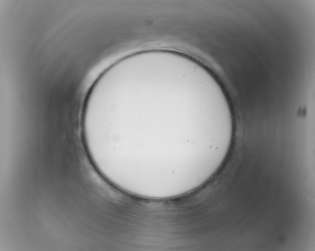 X0000113081512200909182037