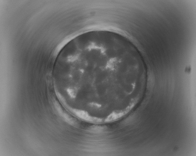 X0000113081513200909182037