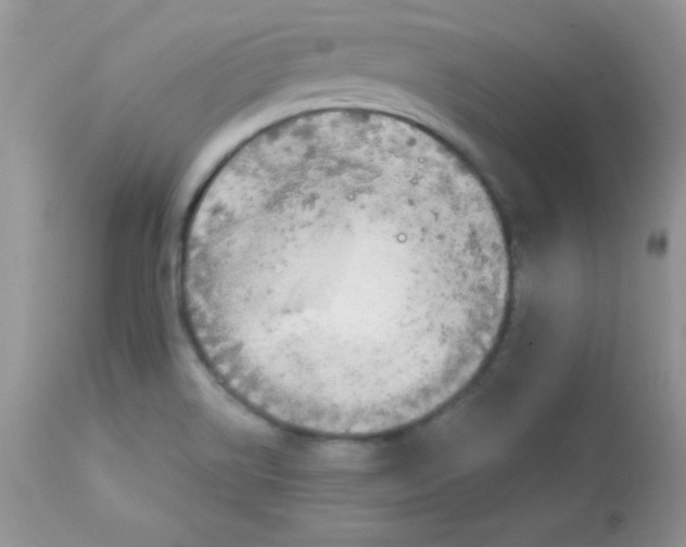 X0000113081514200909182037