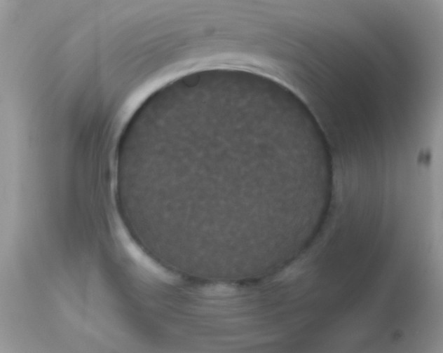 X0000113081515200909182037