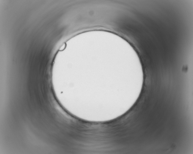 X0000113081516200909182037