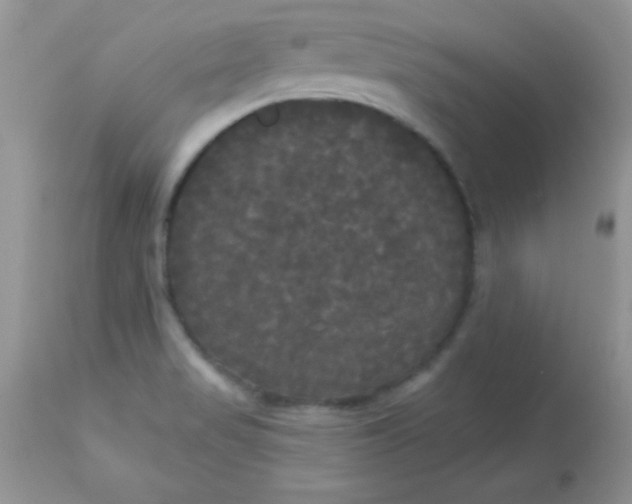 X0000113081517200909182037