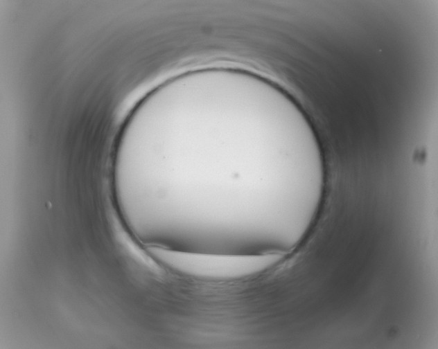 X0000113081518200909182037