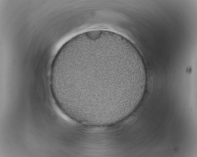 X0000113081519200909182037