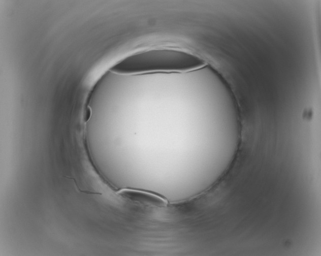 X0000113081520200909182037