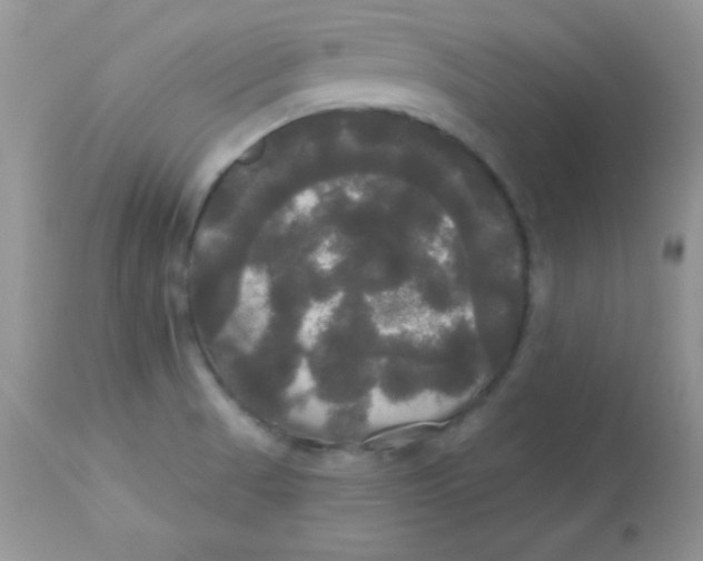 X0000113081521200909182037