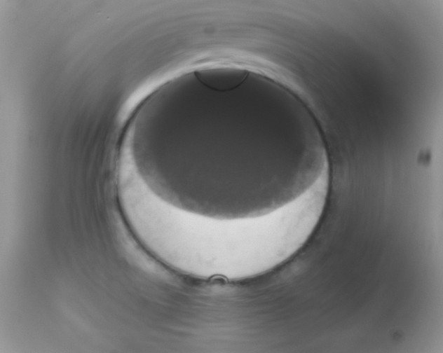 X0000113081522200909182037