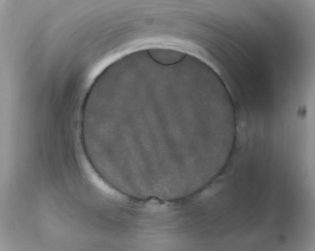 X0000113081523200909182037