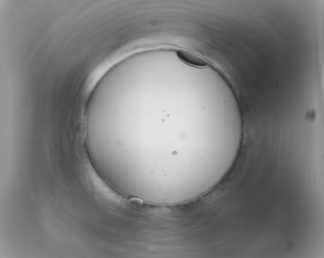 X0000113081524200909182037