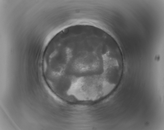 X0000113081525200909182037